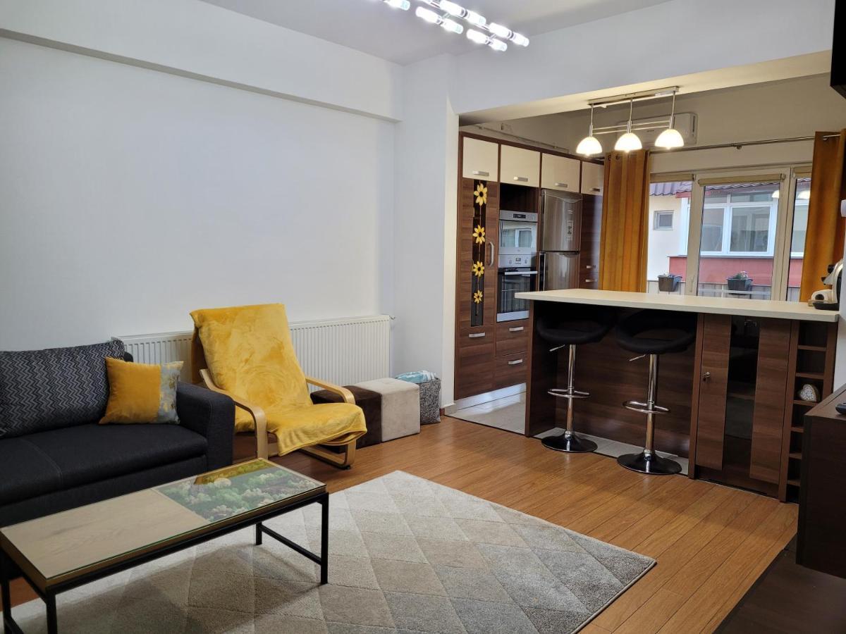 Andi Apartment Sibiu Eksteriør bilde